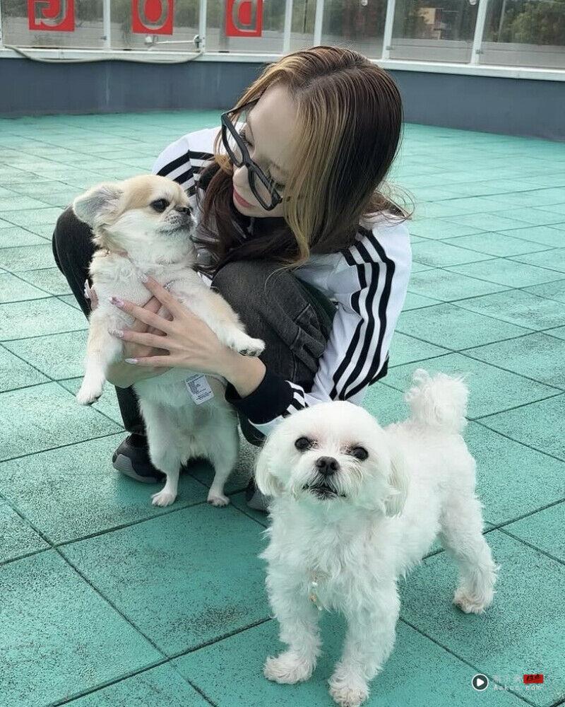 《不良一族寻爱记》Baby尤莉亚剧中浏海染造型太飒！早在2017年就曾参加恋爱实境节目、练空手道背后藏着“这个原因”