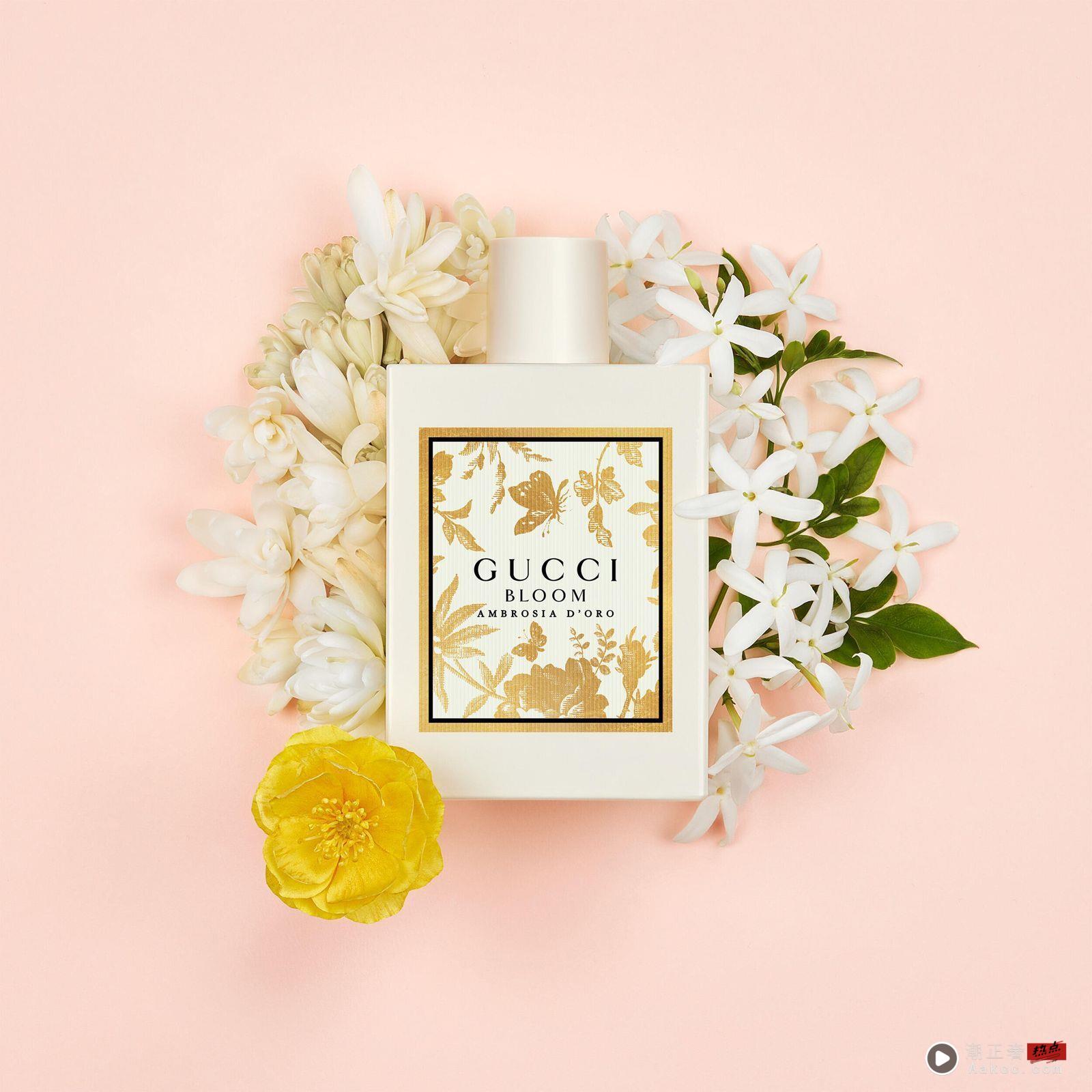 GUCCI香水新作交织柔润杏桃与乳香质感 白花香控会心动 内容图2 潮正奢/潮品文/潮臻社-实时追踪全球最新奢侈品牌新闻资讯的官网站! 白花香控会心动 GUCCI Bloom推出全新金灿花香